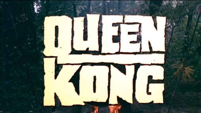 Title Card
