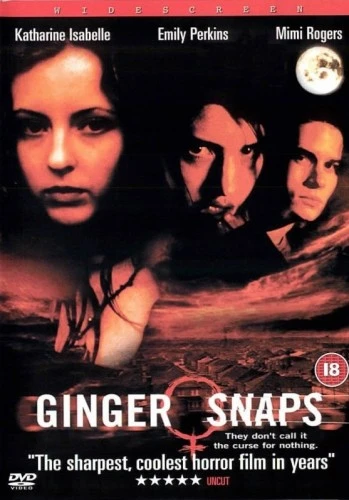 DVD Cover (UK)