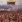National Lampoon Television Show: Lemmings Dead In Concert