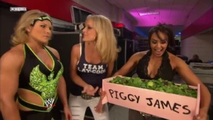 Mickie's Revenge