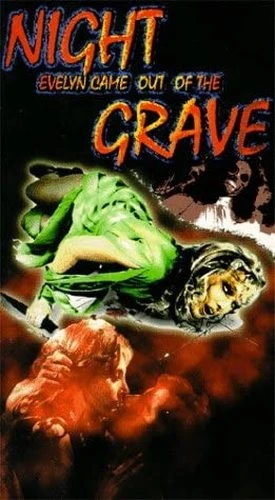 VHS Cover (VCI Home Video)