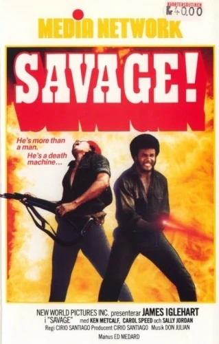 VHS Cover (Sweden)