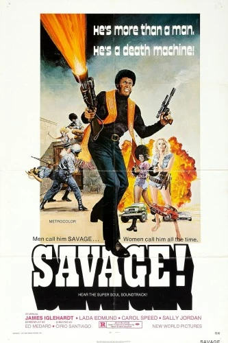 Theatrical Poster
