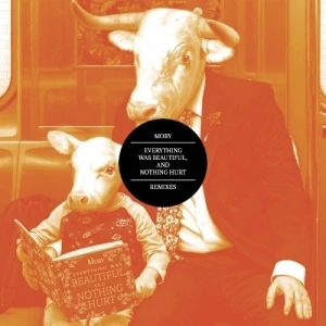Everything Was Beautiful, and Nothing Hurt (remixes)