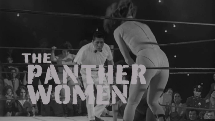 Title Card