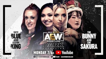 AEW Dark: Elevation #54