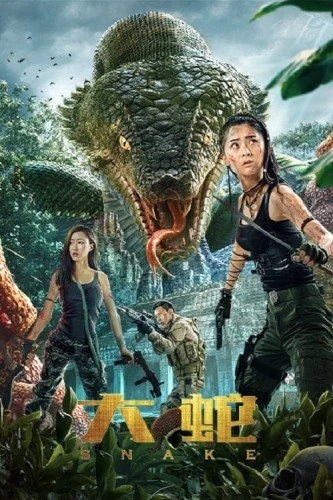 Theatrical Poster (China)
