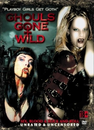 DVD Cover (Spooked Television Releasing)