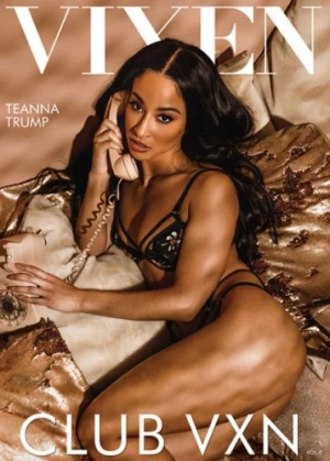 DVD Cover (Vixen)