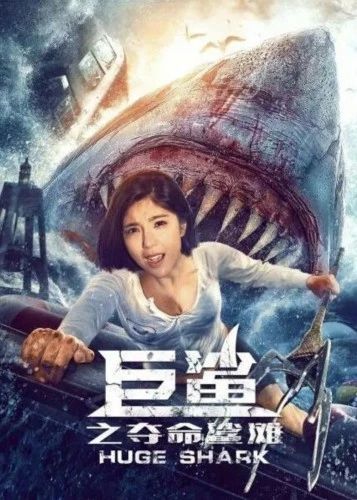 Theatrical Poster (China)