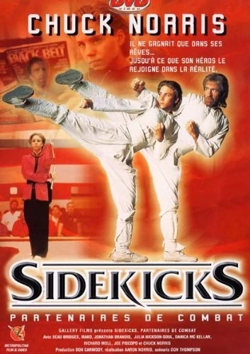 DVD Cover (France)