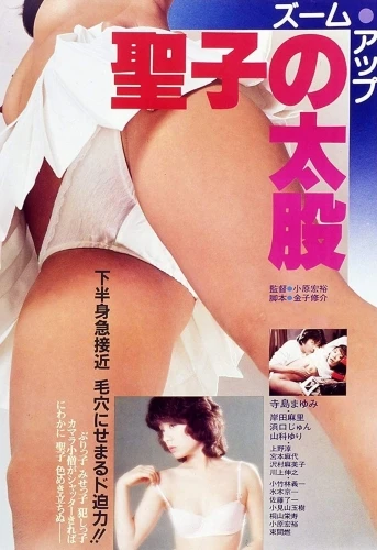 Theatrical Poster (Japan)