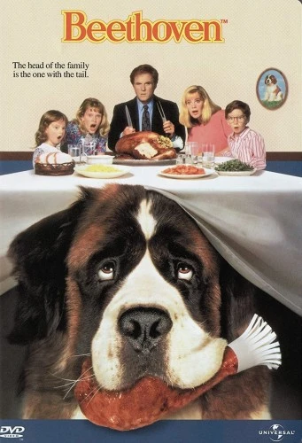 DVD Cover (Universal)