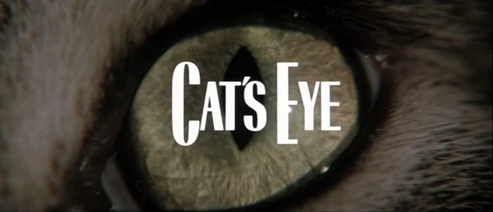 Title Card