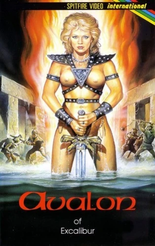 VHS Cover (Germany)