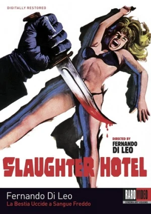 DVD Cover (Raro Video)