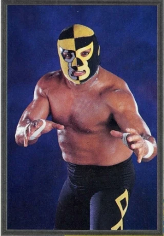 Pierroth Jr.