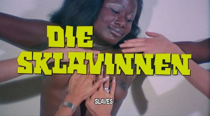 Title Card