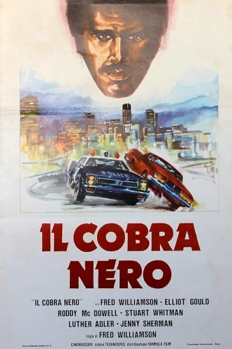 Theatrical Poster (Italy)