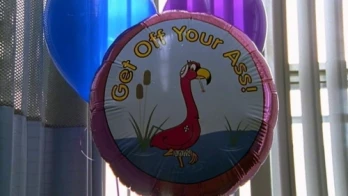 Pink Flamingos