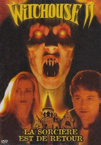 DVD Cover (France)