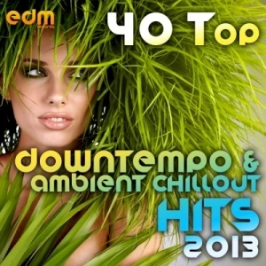 40 Top Downtempo & Ambient Chillout Hits 2013 (Best Of Psybient, Lounge, World, TripHop, Dub & Bass)
