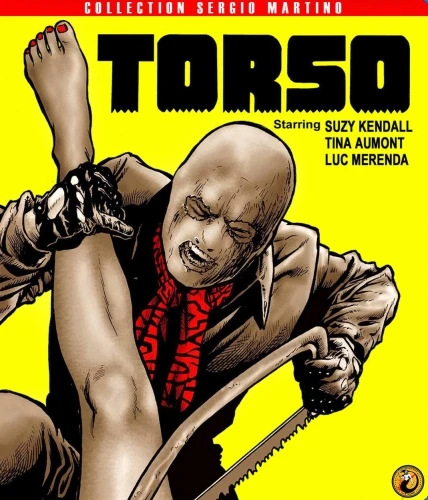Blu-Ray Cover (France)