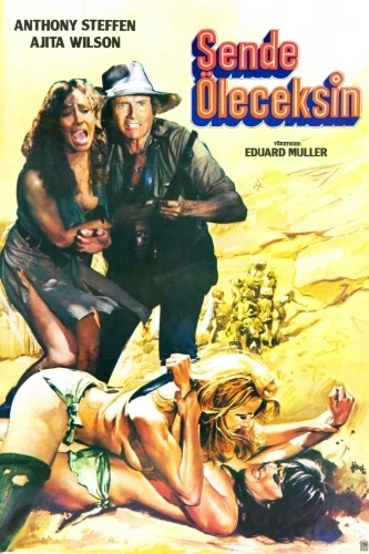 Theatrical Poster (Turkey)