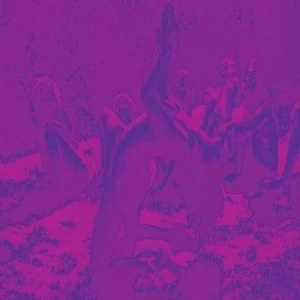 Acid Guru Pond