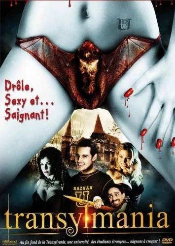 DVD Cover (France)