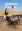 Jackass Forever