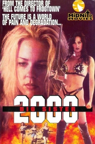 Theatrical Poster