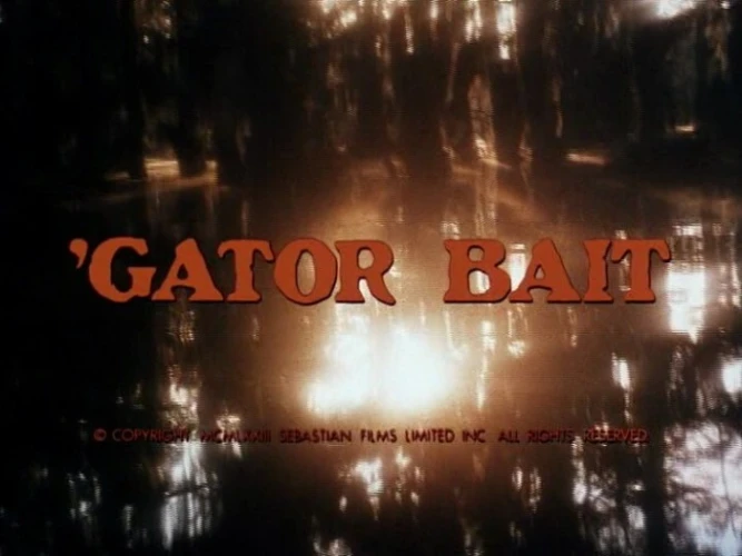Title Card