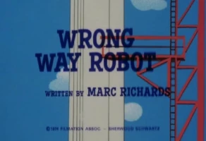 Wrong Way Robot/Yeah, Would You Want Your Sister to Marry One?
