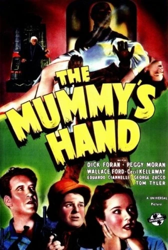 DVD Cover (Universal)