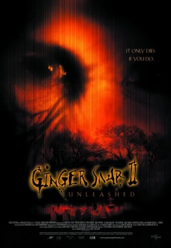 Theatrical Poster