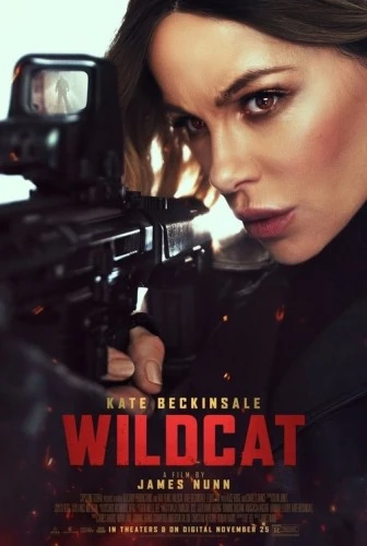 Theatrical Poster