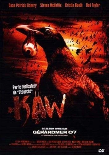 DVD Cover (France)