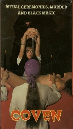 VHS Cover (Unknown)
