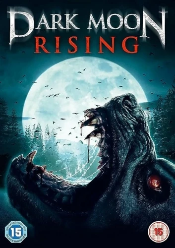 DVD Cover (UK)