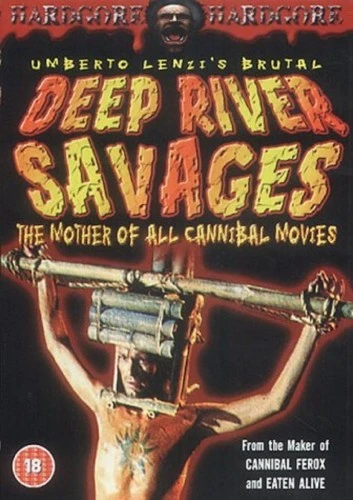 DVD Cover (UK)