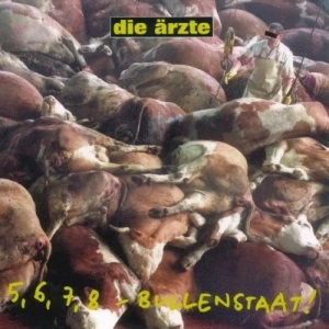 5, 6, 7, 8 - Bullenstaat!