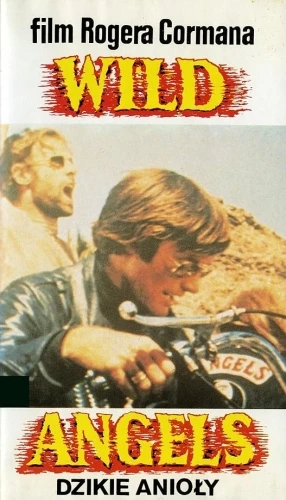 VHS Cover (Poland)