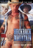 Buckback Mountain