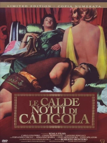 DVD Cover (Italy)