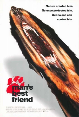 Theatrical Poster