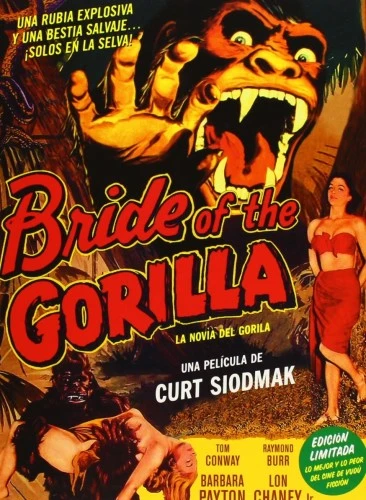 DVD Cover (Spanish)