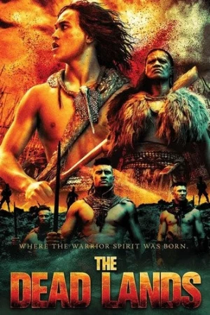 DVD Cover (Magnet Releasing)