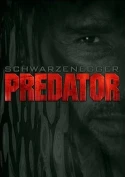Predator