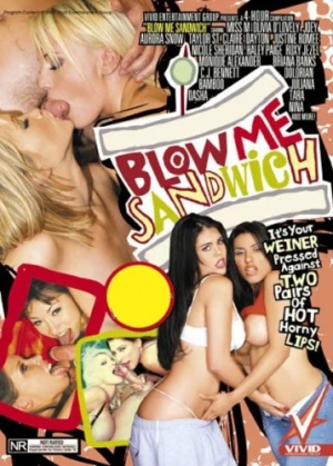 DVD Cover (Vivid Entertainment)